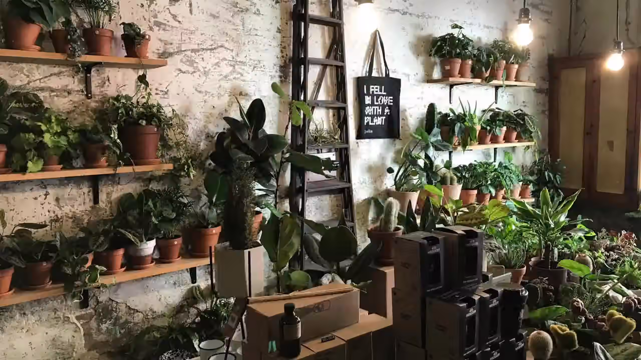 Portfolio showreel preview